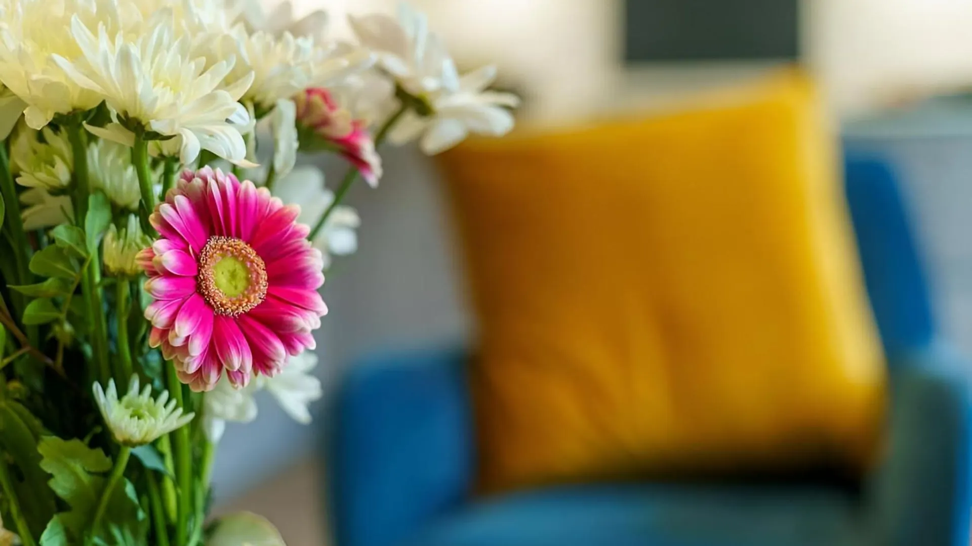 Apartmán Hive - City East Londýn Velká Británie